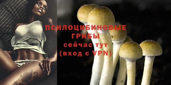 марки nbome Снежногорск