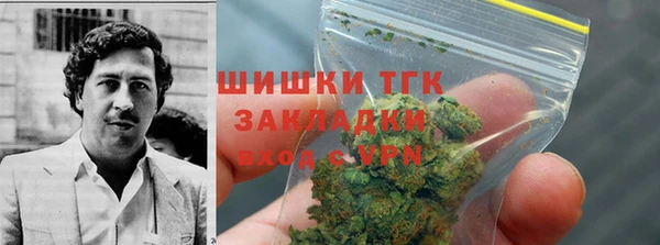 МДПВ Снежинск