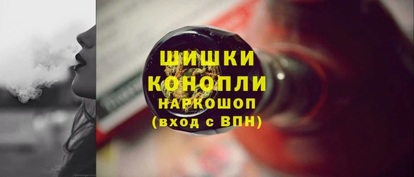 МДПВ Снежинск