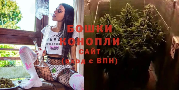 МДПВ Снежинск