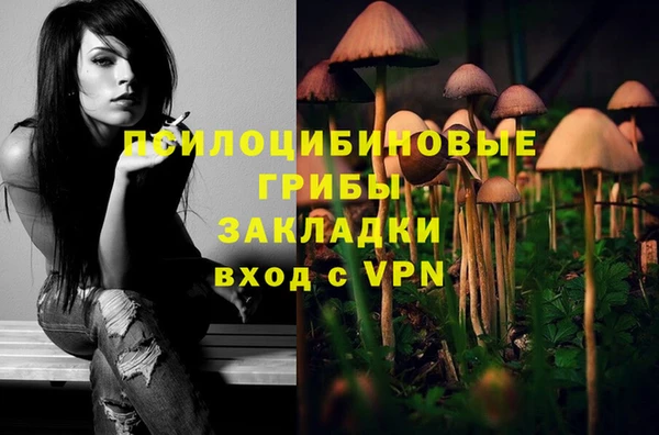 марки nbome Снежногорск