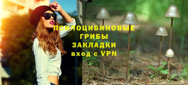 МДПВ Снежинск