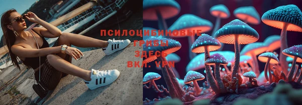 марки nbome Снежногорск